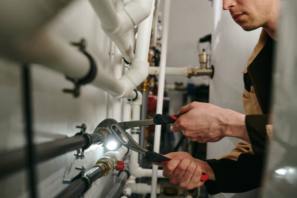 Best Toilet Repair Services  in Fowlerville, MI