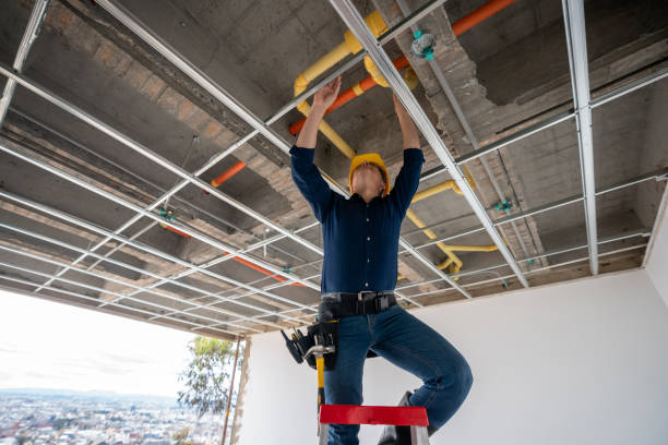 Best Clogged Drain Plumber  in Fowlerville, MI