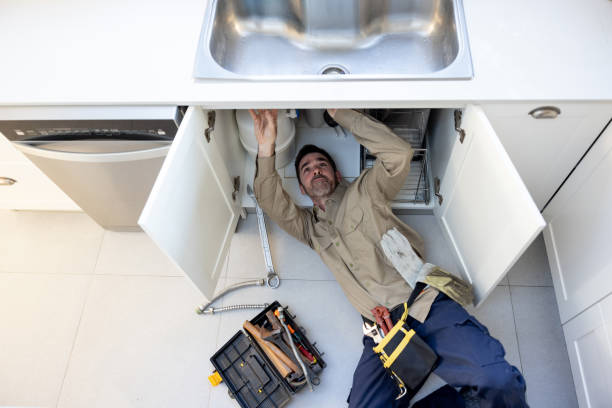  Fowlerville, MI Plumbing Pros