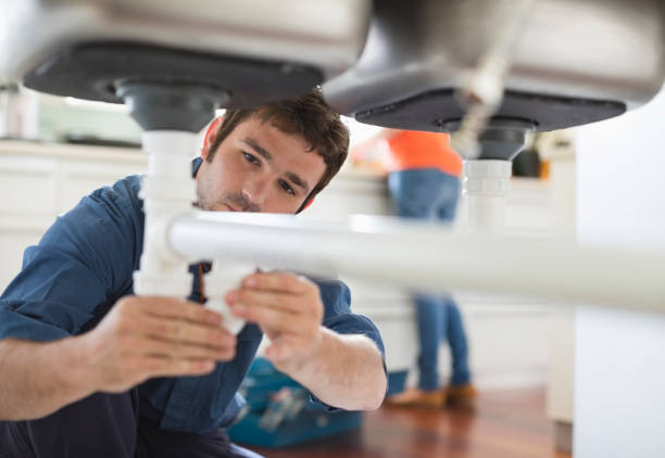 Best Plumbing Services Near Me  in Fowlerville, MI
