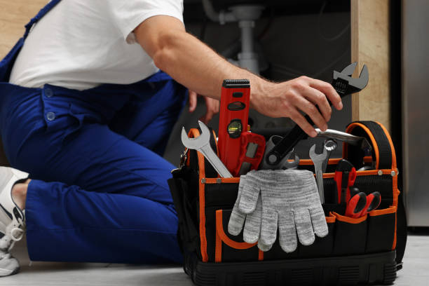 Best Residential Plumbing Services  in Fowlerville, MI