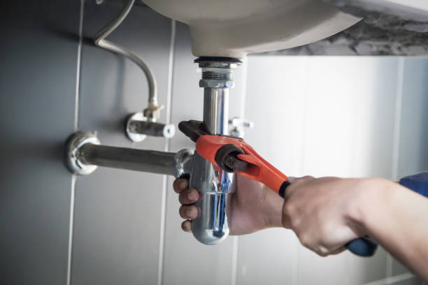 Best Local Plumber Services  in Fowlerville, MI
