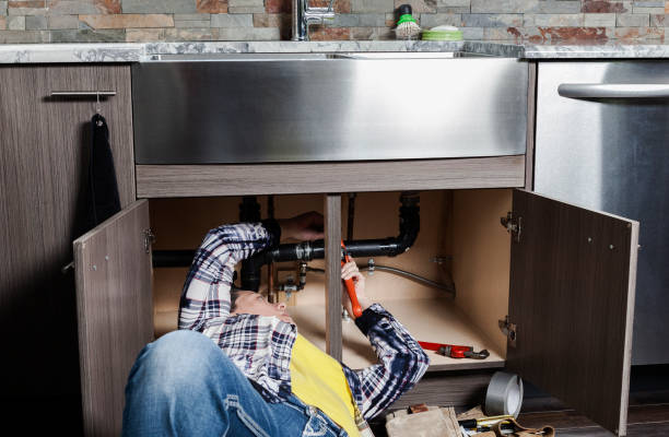 Best Affordable Plumbing Services  in Fowlerville, MI
