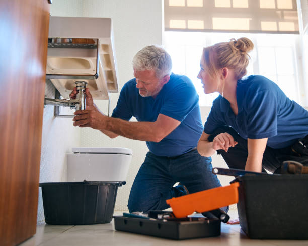 Best Faucet Repair  in Fowlerville, MI